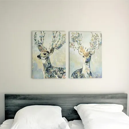 1 In Der Rosa Apartamento
